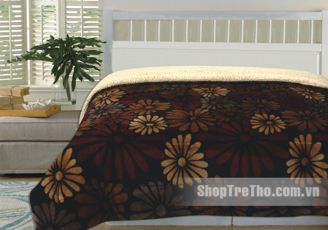 Chăn lông cừu xuất khẩu nhiều màu 2.2m x 2.4m
