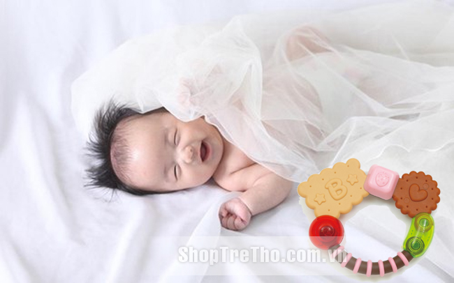 Cắn răng hình bánh bích quy Toyroyal 3330