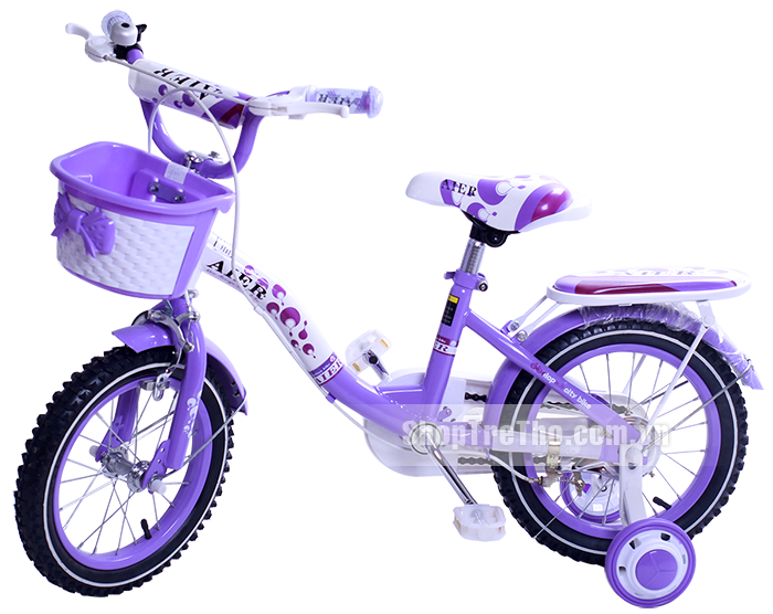 Xe đạp trẻ em AIER AB-303