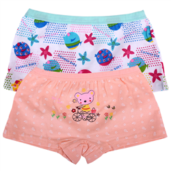 Bán Quần đùi chip Gerboo 6011 cho bé nhiều màu & size
