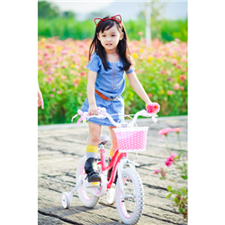 Bán Xe đạp cho bé Royal Baby Star RB16G