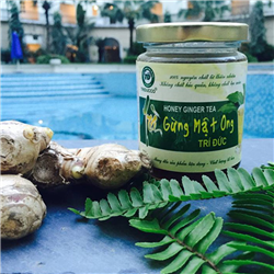 Bán Trà gừng mật ong Trí Đức lọ 275gr - Sản phẩm tự nhiên