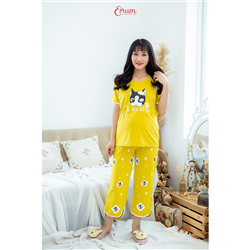 Bán Bộ bầu mặc nhà in mèo vàng Emum