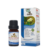 Bán Tinh dầu tràm Gold đặc biệt (10ml)