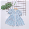 Bán Váy chữ A mở cúc hoa nhí DL804 (6-24M)